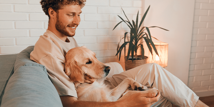 5 Dog Breeds That Love to Cuddle (And Why They’re Perfect Companions) - Barepets