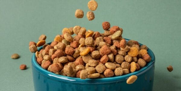 Image showcasing Your Guide to the Top 10 Meat Meal-Free Natural Dog Foods