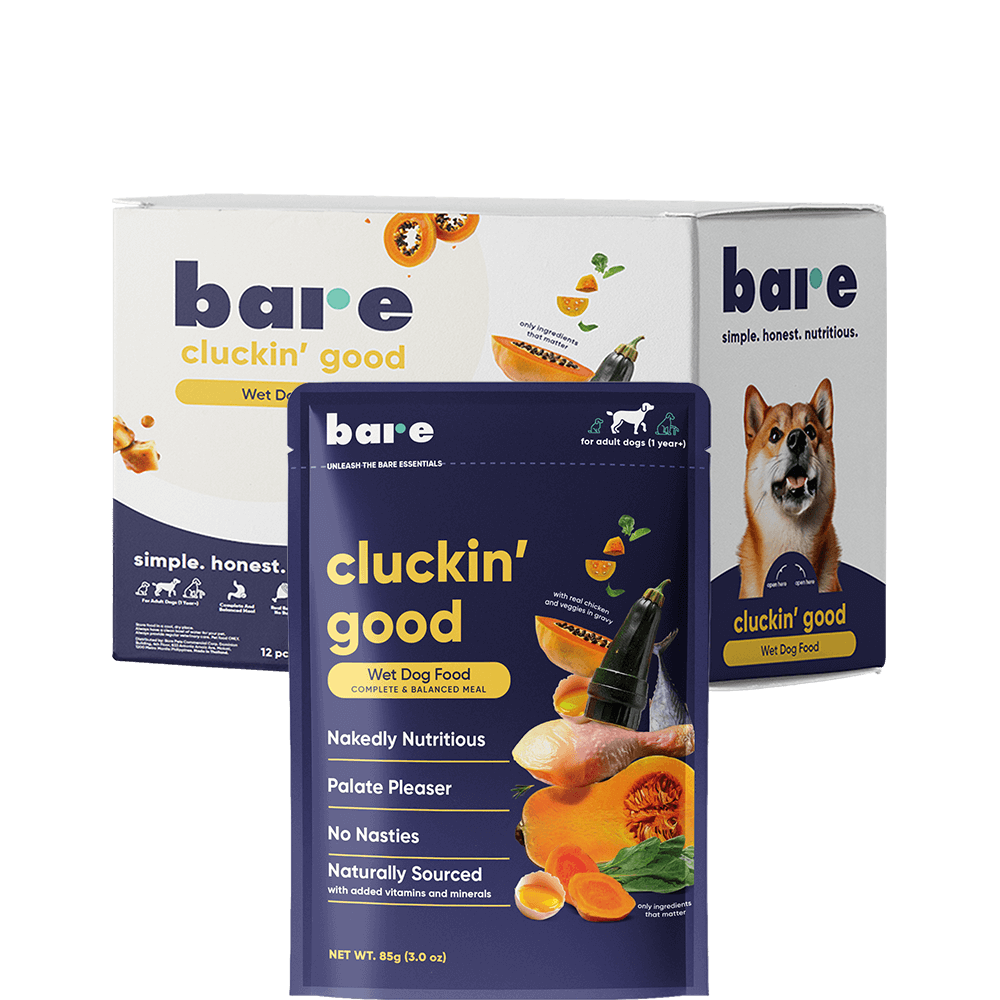 Cluckin' Good Adult - Display Box