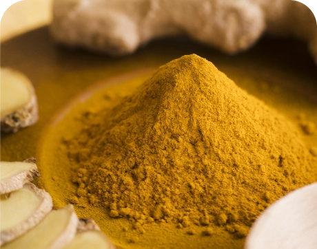 Turmeric & Antioxidants
