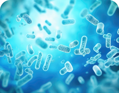 Probiotics, MOS & Organic Acids