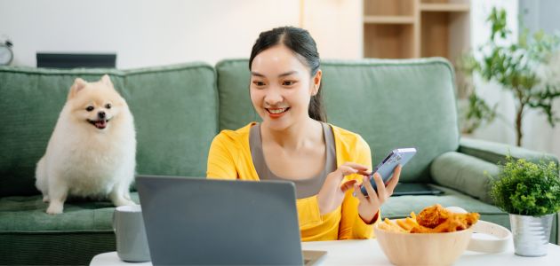 Best Online Options for Digestive Health Dog Treats in the Philippines - Barepets