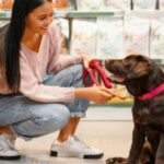 Barepets - Where to Buy Calcium-Rich Dog Food in Cebu, Philippines