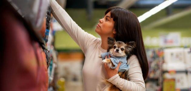 Where to Buy Joint Supplements for Dogs in Quezon City, Philippines - Barepets