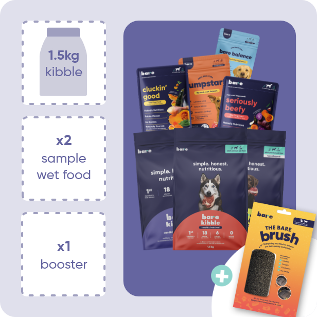 Bare Essentials Plus