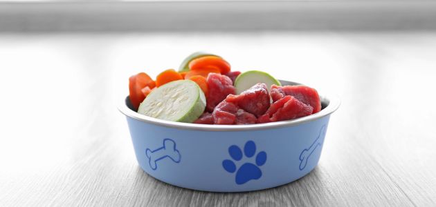 Top Nutritional Tips for Small Breeds: Calcium and Beyond - Barepets